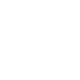 保健食品ICON
